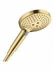 Ручной душ Hansgrohe Raindance Select 120, 3jet, золото, 26530990