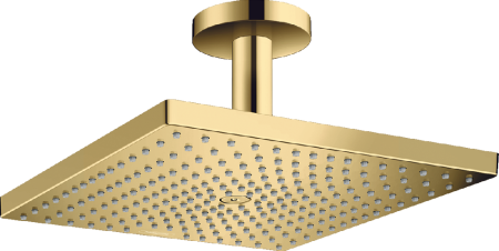Верхний душ Hansgrohe Raindance Е 300, 1 jet, полированное золото, 26250990