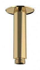 Потолочное соединение Hansgrohe Raindance 10 см, полированное золото, 27479990